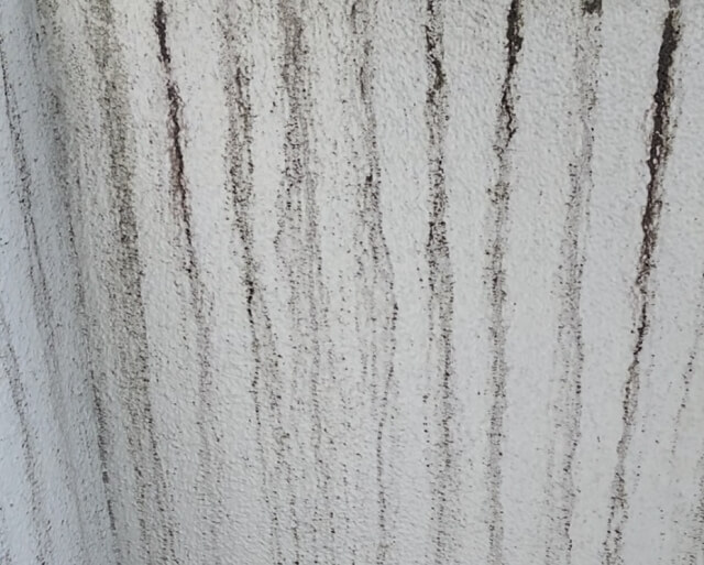 雨による汚れは洗浄で落ちるのか？